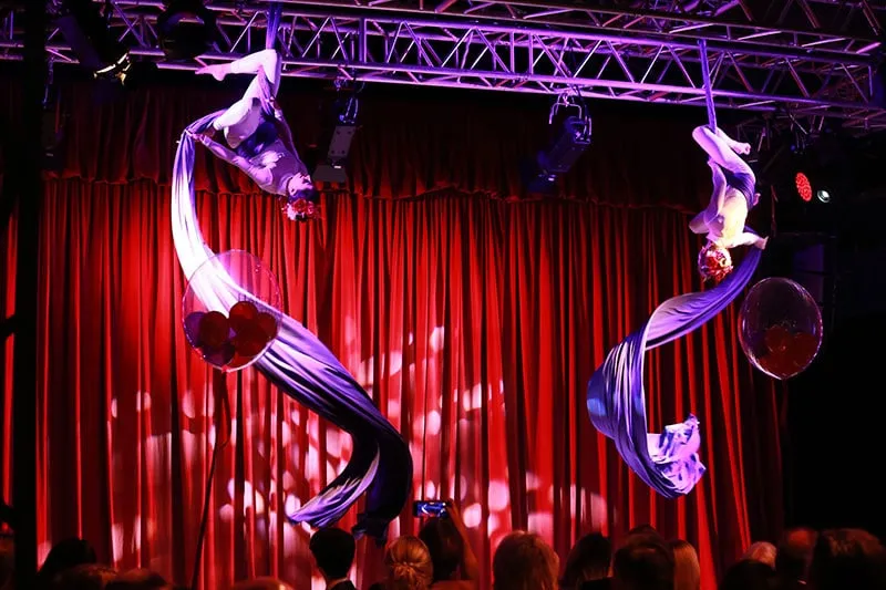Aerialist performing on purple and white silks
