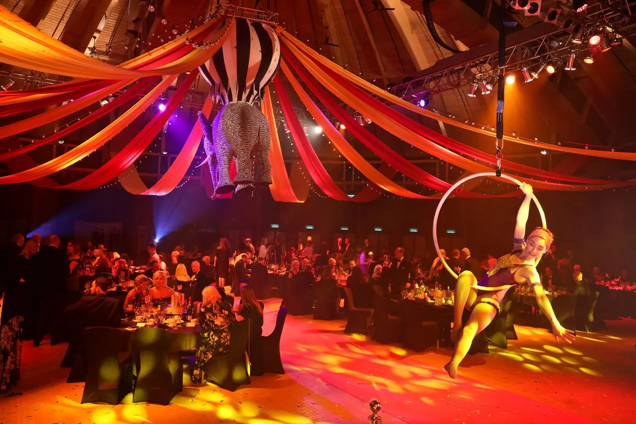Dorset Legal Awards aerial hoop: aerial performers, circus showman theme