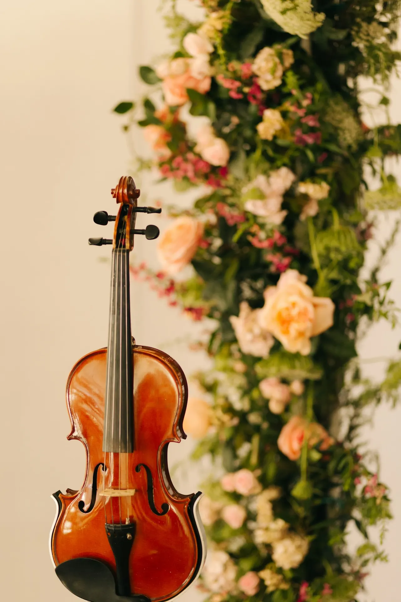 Electric Violinists