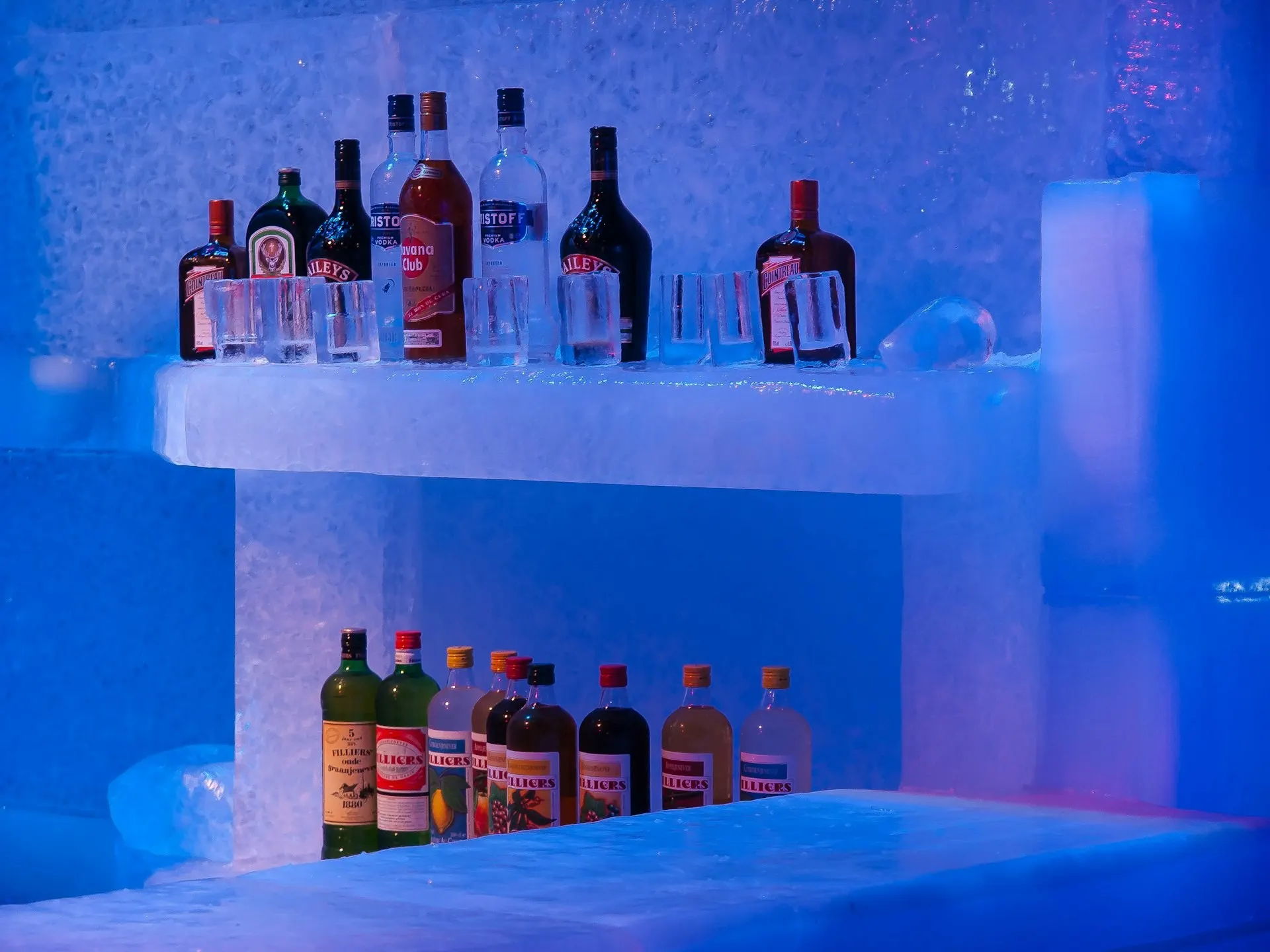 Ice Sculptures & Ice Luges