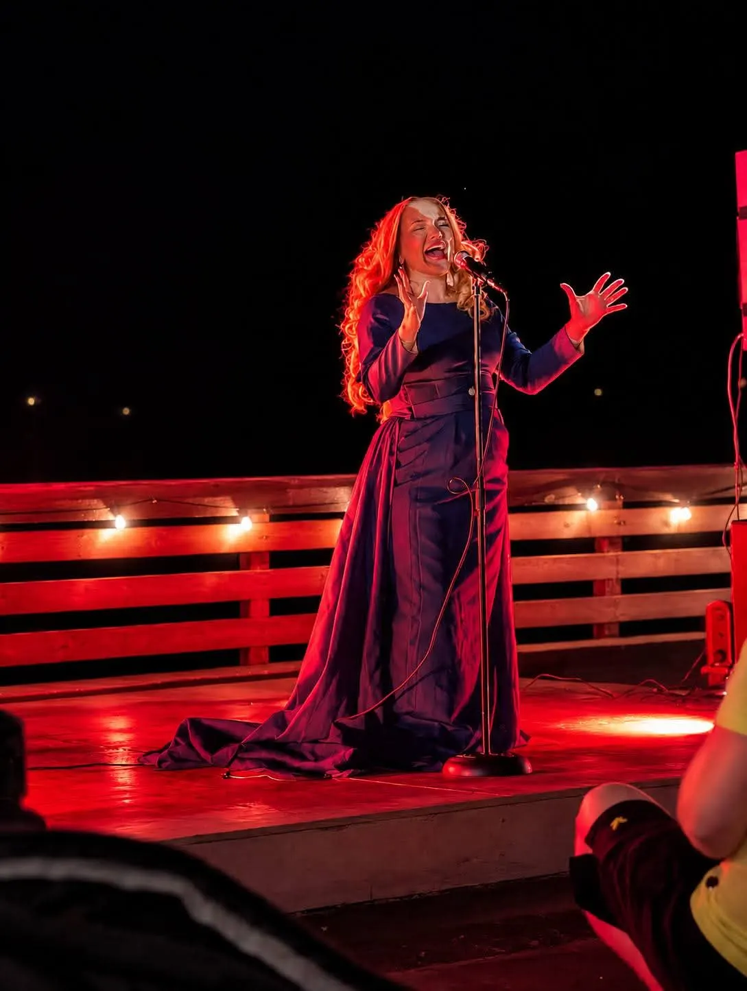 Adele at sunset: tribute acts