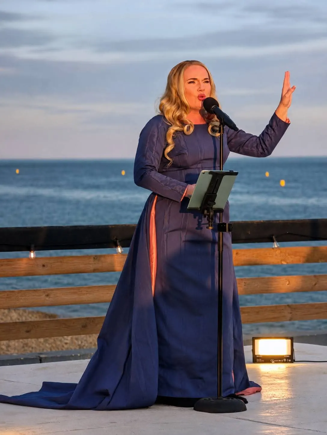 Adele at sunset: tribute acts